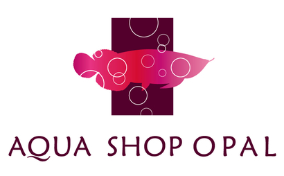 長野県 AQUA SHOP OPAL様