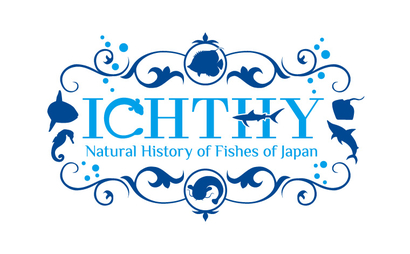 鹿児島県 鹿児島大学総合研究博物館様