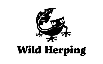 東京都 Wild Herping様